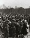 PLAYING FOR THEIR LIVES BIRKENAU'S WOMEN'S ORCHESTRA PLAYING FOR THEIR LIVES BIRKENAU'S WOMEN'S ORCHESTRA