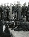 History of War