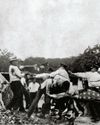 History of War
