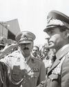 History of War