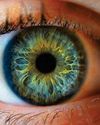 New cells discovered in the eye could help restore vision New cells discovered in the eye could help restore vision