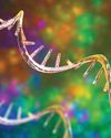 EXPERIMENTAL TREATMENT COUNTERS IMMUNE CELL AGEING IN MICE5