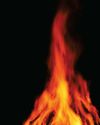 World's oldest cremation pyre of a hunter-gatherer discovered12