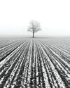 MASTER MINIMALISM MASTER MINIMALISM
