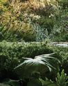 Condé Nast House & Garden