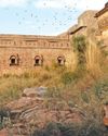 SIX SENSES FORT BARWARA RAJASTHAN