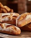 Baguettes for Bakeries