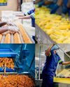 Food Processing In f&b Industry16