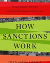 How Sanctions Backfire