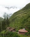 Losing My Religion, Finding My Humanity at an Ayahuasca Retreat Losing My Religion, Finding My Humanity at an Ayahuasca Retreat