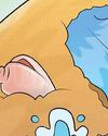 Tiny Nations in the Crack of the Map Tiny Nations in the Crack of the Map