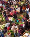 THE NEARLY FREE MARKETS OF GUATEMALA THE NEARLY FREE MARKETS OF GUATEMALA