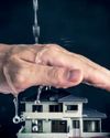 The Home Handyman