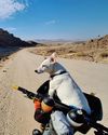 Bicycling US