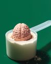 YOUR BRAIN ON CREATINE