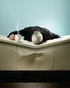 THIS IS WHY YOU'RE TIRED3