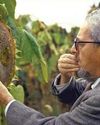 Prevention Led the Way on Eating Organic Prevention US