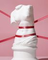 THE OTHER BIRTH CONTROL FIGHT Prevention US