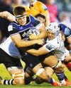 Brute forces which could do the game great harm Brute forces which could do the game great harm