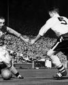 THE MAESTRO AT BOOTHFERRY PARK18