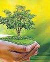 स्वच्छ वायु के राजदूत बन हरित वातावरण बनाएंगे छात्र स्वच्छ वायु के राजदूत बन हरित वातावरण बनाएंगे छात्र