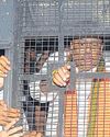 बंगाल में भाजपा समर्थकों, पुलिस के बीच हाथापाई बंगाल में भाजपा समर्थकों, पुलिस के बीच हाथापाई