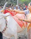गौशालाओं का सर्वे कराएंगे: सीएम गौशालाओं का सर्वे कराएंगे: सीएम