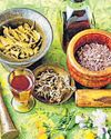 हर मोहल्ले में आयुष वेलनेस सेंटर खुलेंगे12