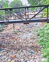 प्लास्टिक की थैलियां और सूखा कचरा फैला प्लास्टिक की थैलियां और सूखा कचरा फैला13
