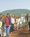 विश्व पर्यावरण दिवस के उपलक्ष्य में आईआईटी भुवनेश्वर ने किया वृक्षारोपण अभियान का सफल आयोजन83