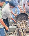 ट्रैक धंसा, नाबालिग ने रुकवाई ट्रेन ट्रैक धंसा, नाबालिग ने रुकवाई ट्रेन48