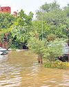 आलीशान सोसाइटी में नहीं बनाया नाला, भर रहा पानी14