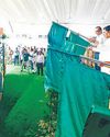 देवी बसें अब भगवा रंग में नजर आएंगी18