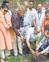 हरेला पर संस्कृति को संजोने का संकल्प लिया12