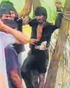 युवक को चोर समझकर बेरहमी से पीटा39