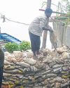 दिल्ली में मंडराया बाढ़ का खतरा, निचले इलाकों की निगरानी बढ़ी7