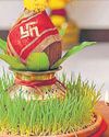 सर्ववत्सला अशिव-विनाशिनी मां42
