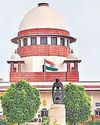 पीली मटर आयात पर केंद्र जवाब दे: अदालत94