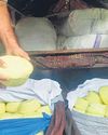 सावधान! खोये में नकली खुशबू डालकर बेच रहे11