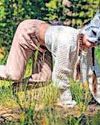 दिमाग पर असर डाल रही 'चार पैरों' वाली कसरत86