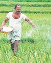 भारतीय कृषि क्षेत्र की तस्वीर 11 साल के सुधारों से बदली भारतीय कृषि क्षेत्र की तस्वीर 11 साल के सुधारों से बदली50