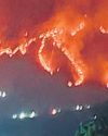 पिथौरागढ़ के जंगलों में भीषण आग से वन्य संपदा खाक96