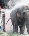 नौ साल में सबसे गर्म रही 27 अप्रैल की रात13