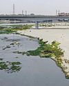 तेज धूप से छह डिग्री चढ़ा तापमान तेज धूप से छह डिग्री चढ़ा तापमान17
