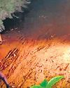 Miscreants hurl five petrol bombs at house in Adampur7