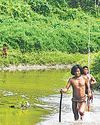 Officials in a fix on how to map uncontacted, secluded tribes33