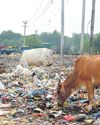 After dismal 219 rank, Panchkula turns to Indore to clean up its act87