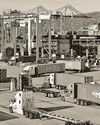 Need a stronger WTO to fight Trump’s trade pivot16