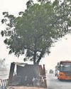 To open or not to open: Flyover stuck after HC denies approval to cut trees