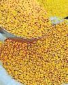 Govt to make online grocers sell pulses under Bharat Dal